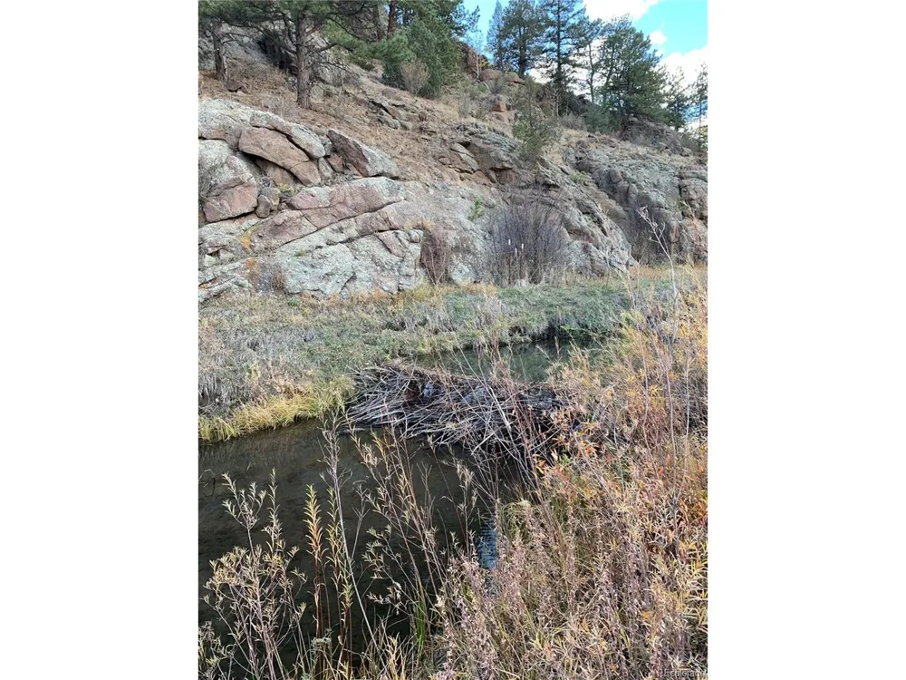 1840 Lakemoor Drive Florissant, CO 80816