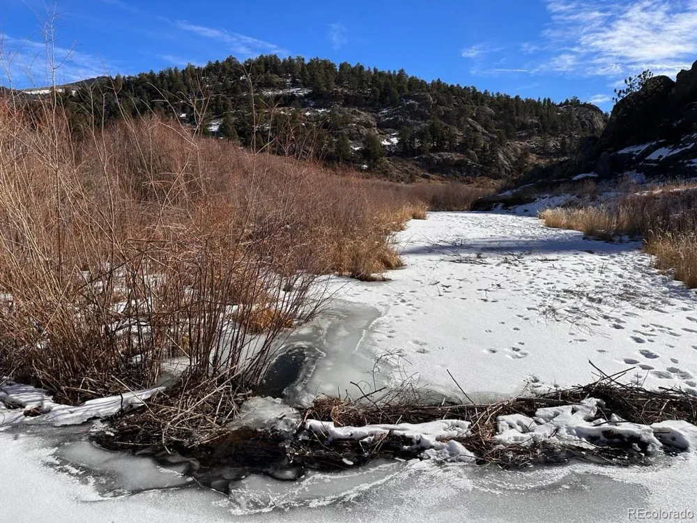1840 Lakemoor Drive Florissant, CO 80816
