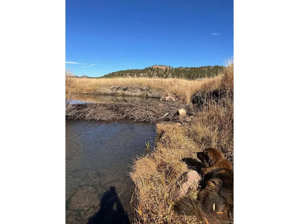 1840 Lakemoor Drive Florissant, CO 80816