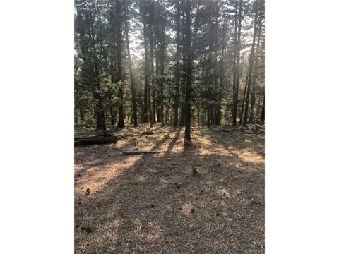 469 Echo Lake Drive