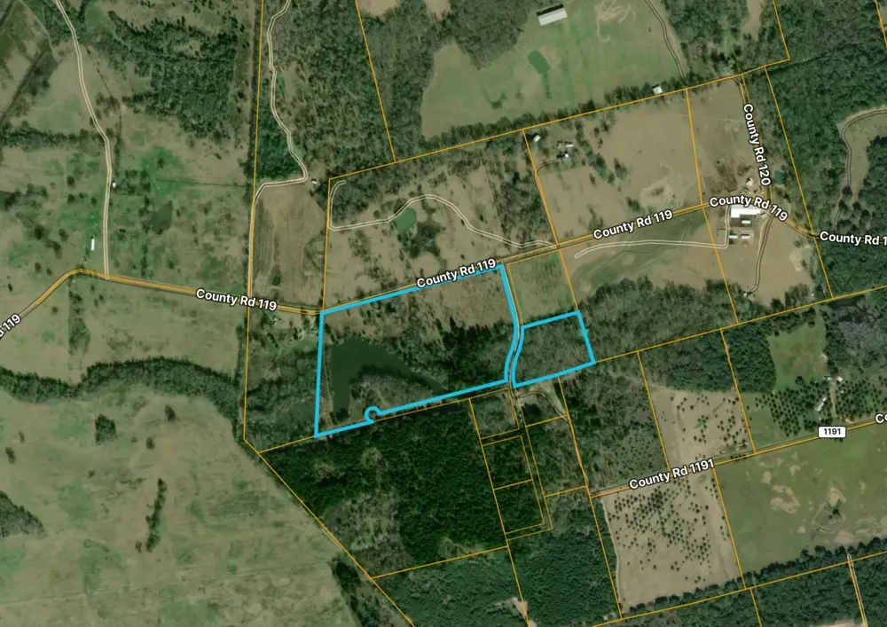 County Road 119 Palestine, TX 75801