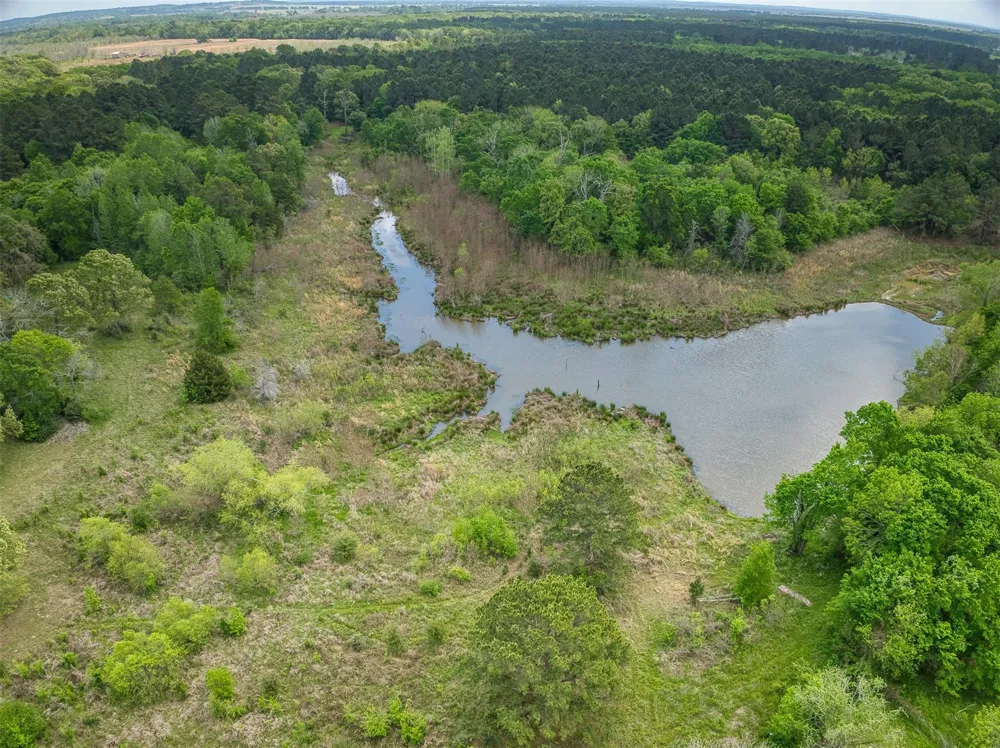 County Road 119 Palestine, TX 75801