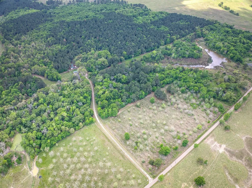 County Road 119 Palestine, TX 75801