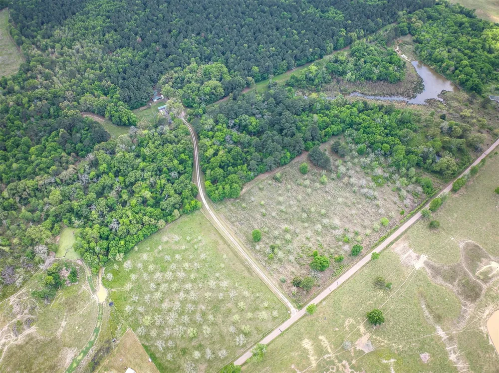 County Road 119 Palestine, TX 75801