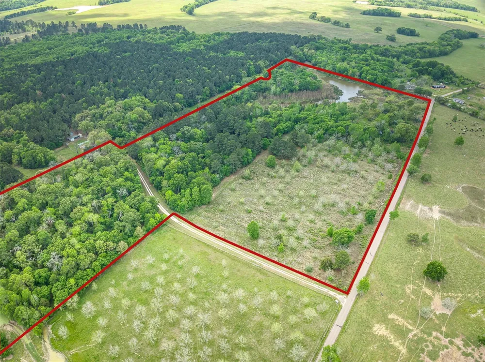 County Road 119 Palestine, TX 75801