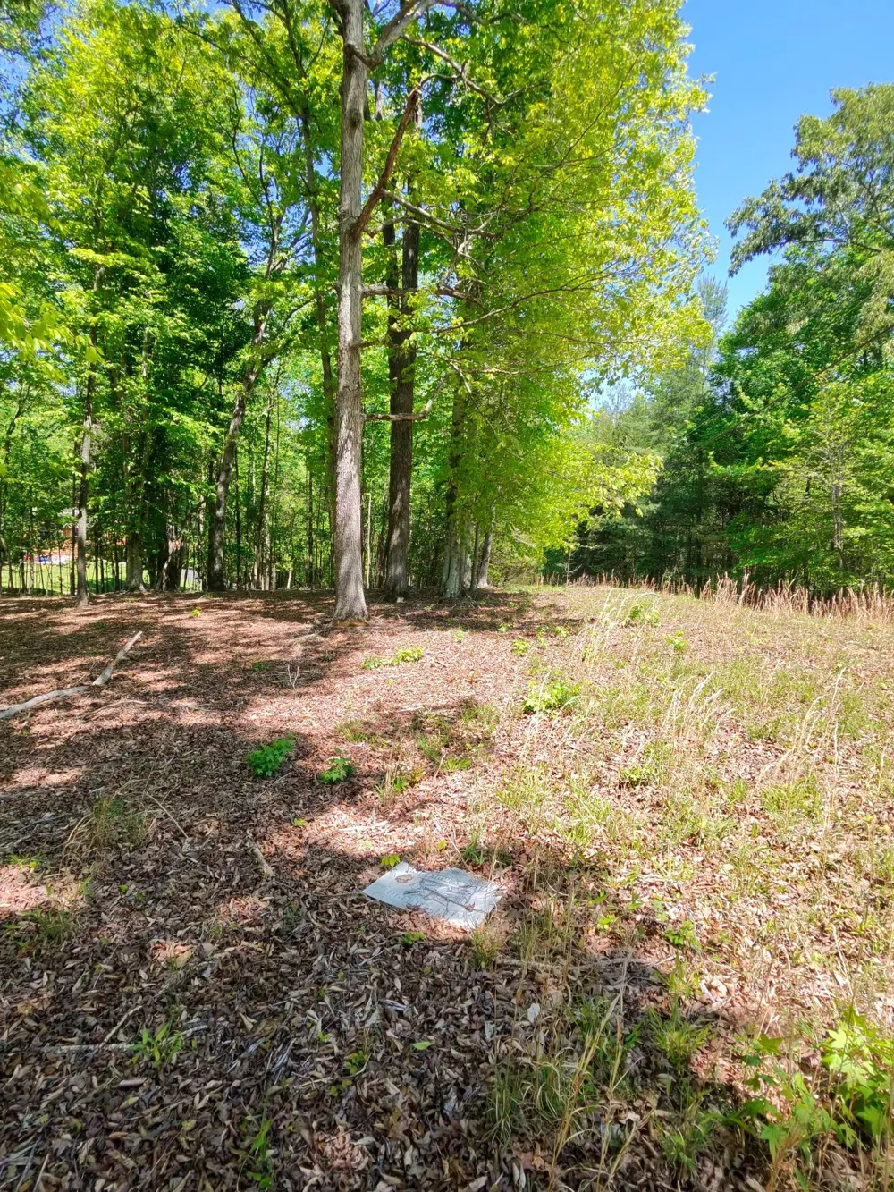 0 Four Seasons Dr Smithville, TN 37166