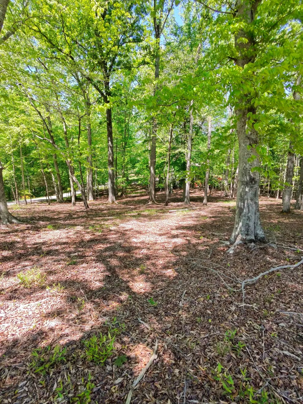0 Four Seasons Dr Smithville, TN 37166