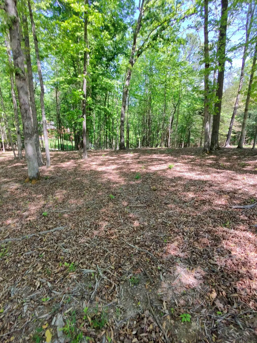 0 Four Seasons Dr Smithville, TN 37166