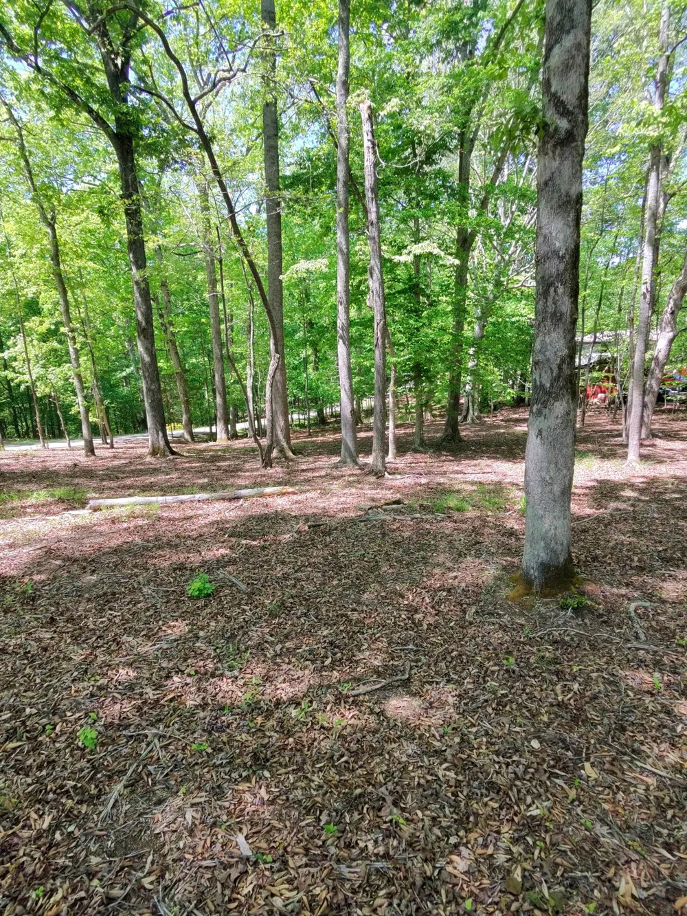 0 Four Seasons Dr Smithville, TN 37166