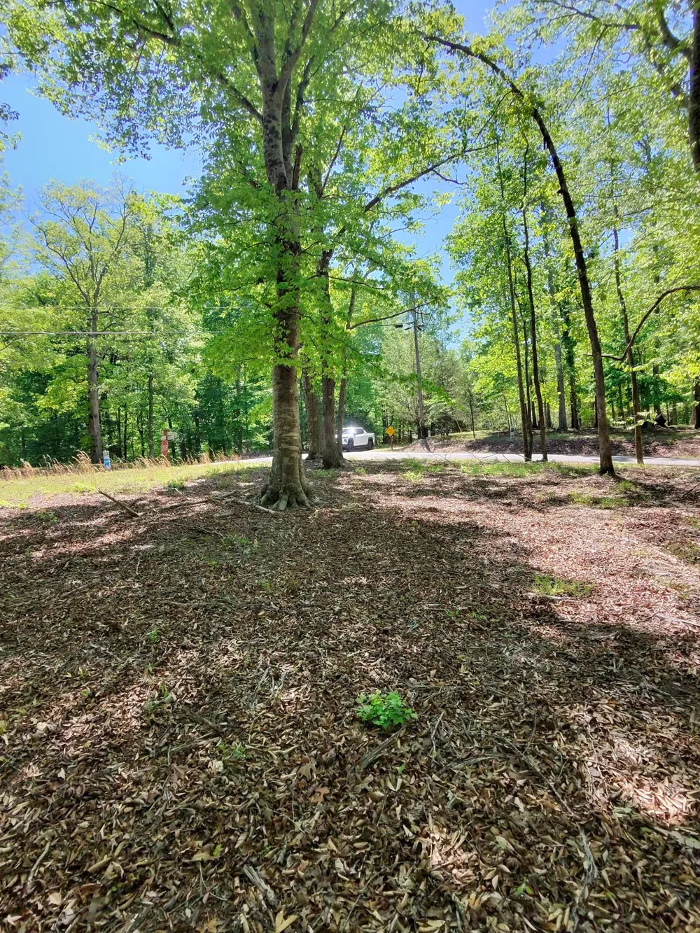 0 Four Seasons Dr Smithville, TN 37166