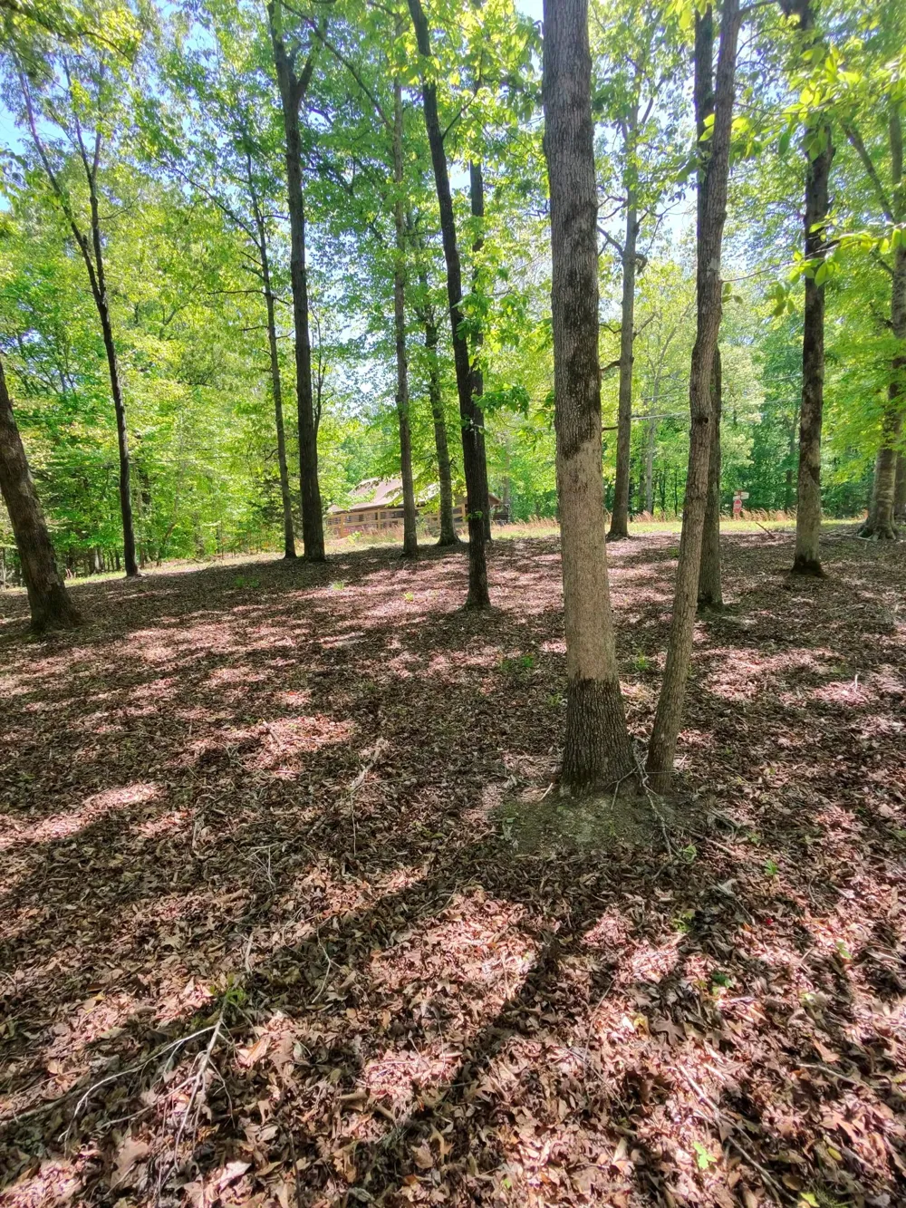 0 Four Seasons Dr Smithville, TN 37166