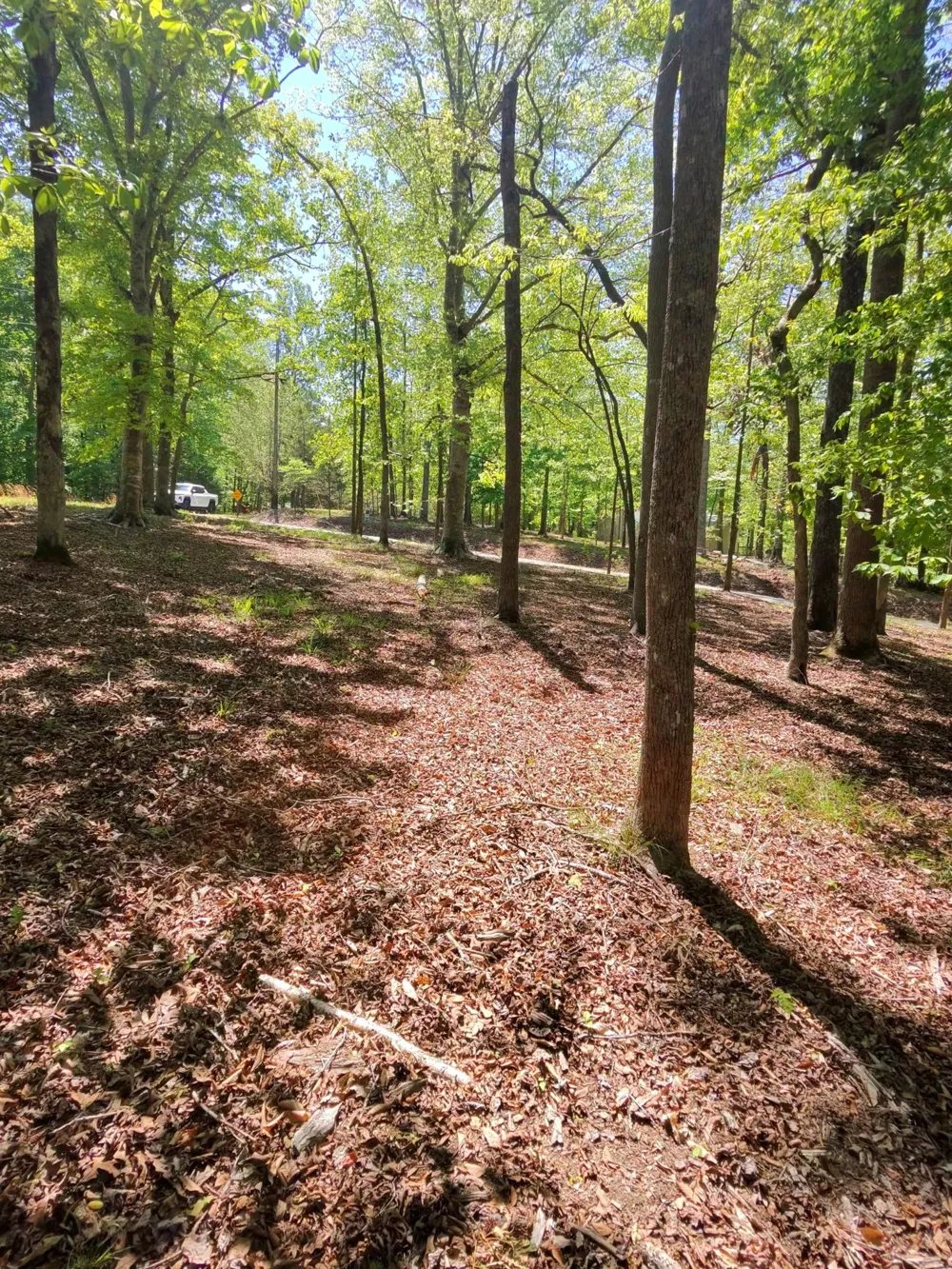 0 Four Seasons Dr Smithville, TN 37166