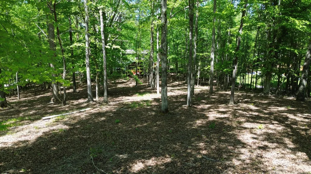 0 Four Seasons Dr Smithville, TN 37166