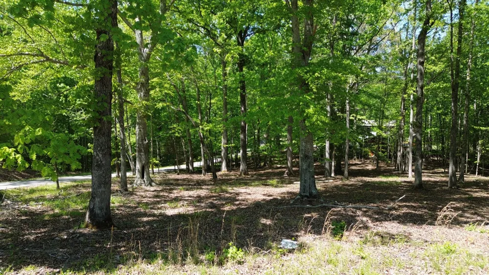 0 Four Seasons Dr Smithville, TN 37166