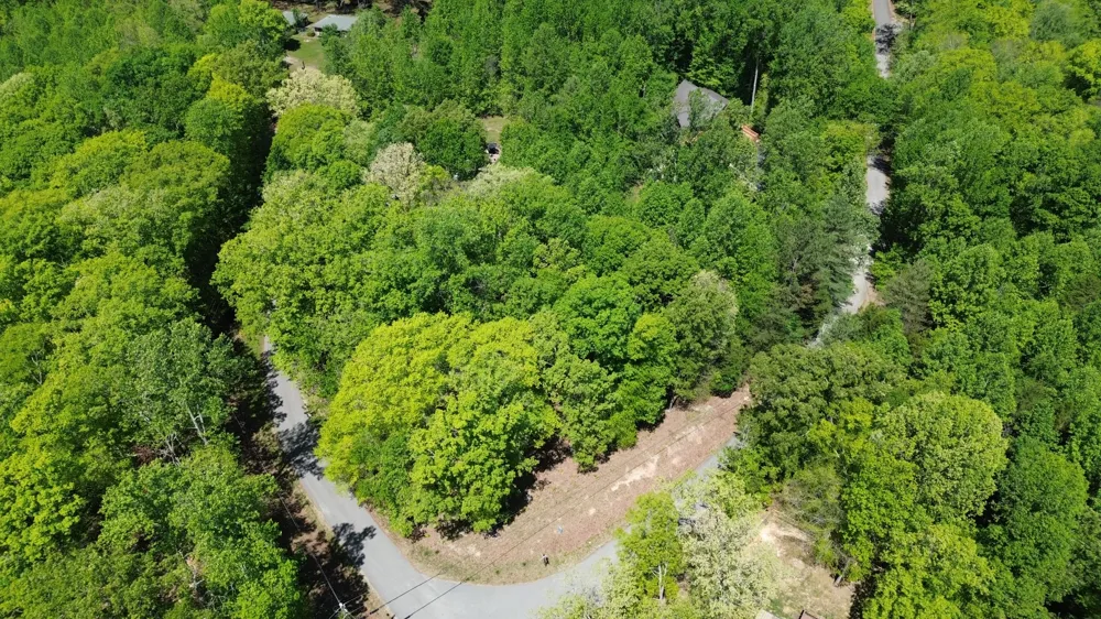 0 Four Seasons Dr Smithville, TN 37166