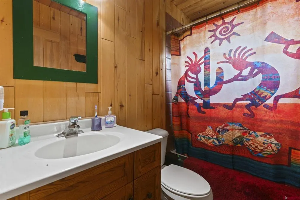 1405 Cougar Way Hesperus, CO 81326