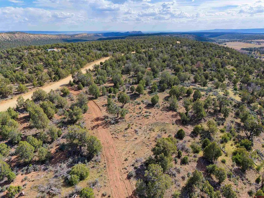 CR 136 Hesperus, CO 81326