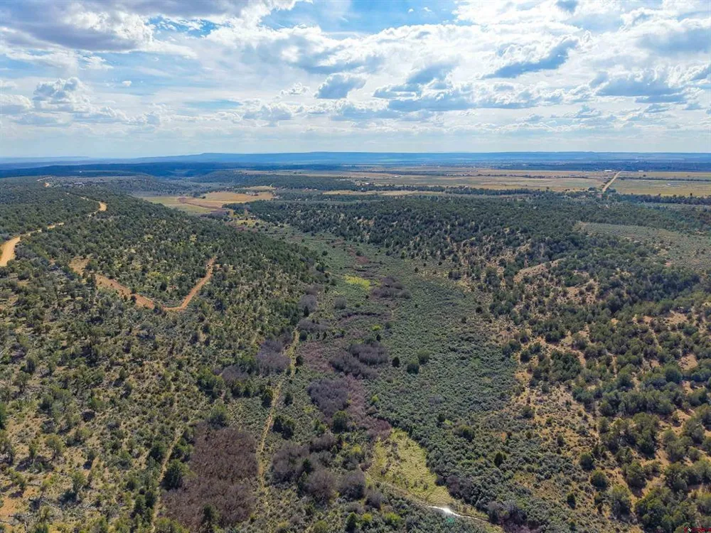 CR 136 Hesperus, CO 81326