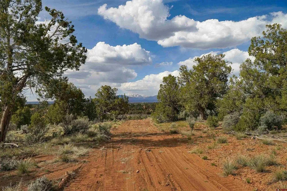 CR 136 Hesperus, CO 81326