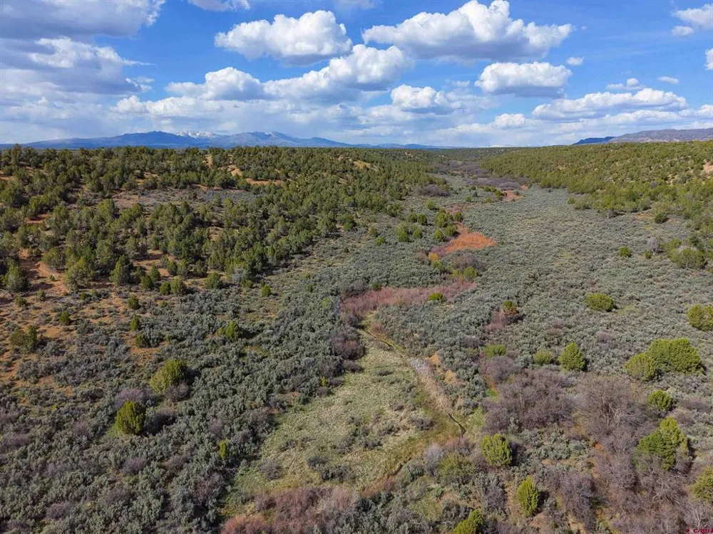 CR 136 Hesperus, CO 81326