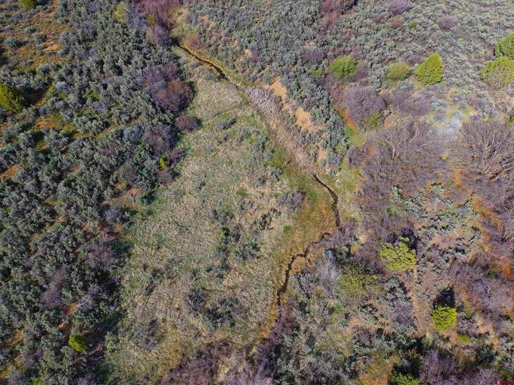 CR 136 Hesperus, CO 81326