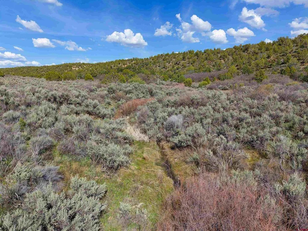 CR 136 Hesperus, CO 81326