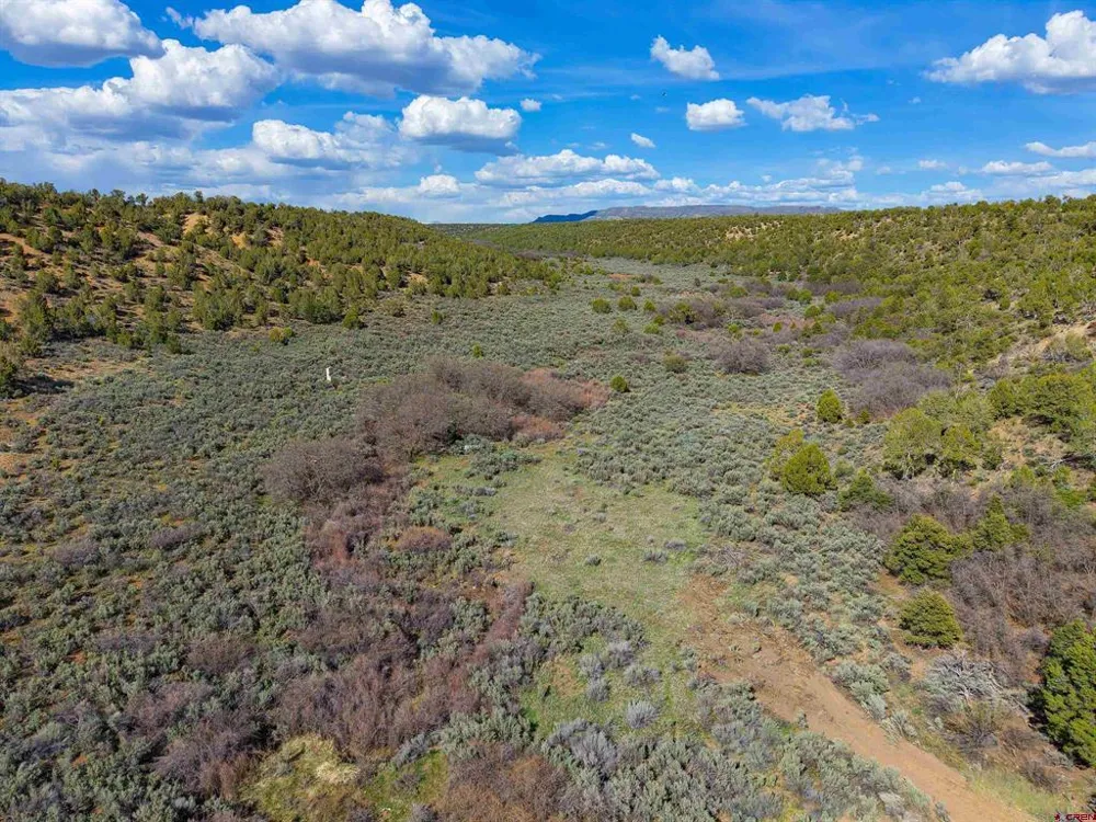 CR 136 Hesperus, CO 81326
