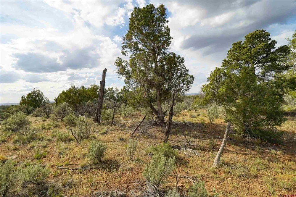 CR 136 Hesperus, CO 81326