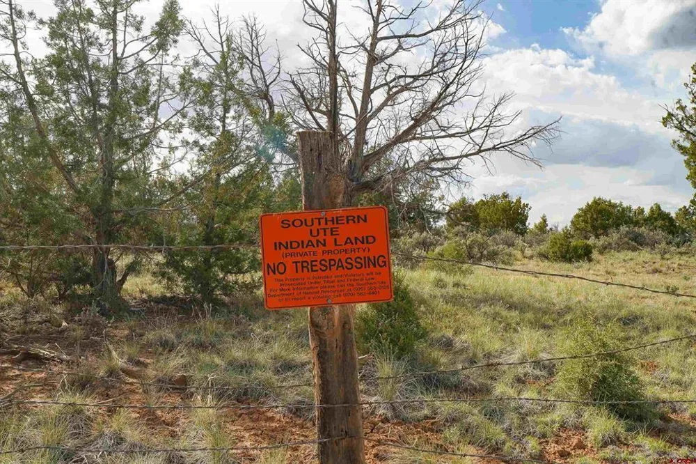 CR 136 Hesperus, CO 81326