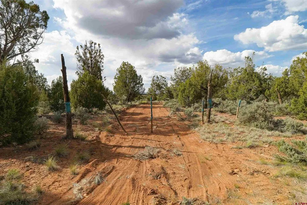 CR 136 Hesperus, CO 81326