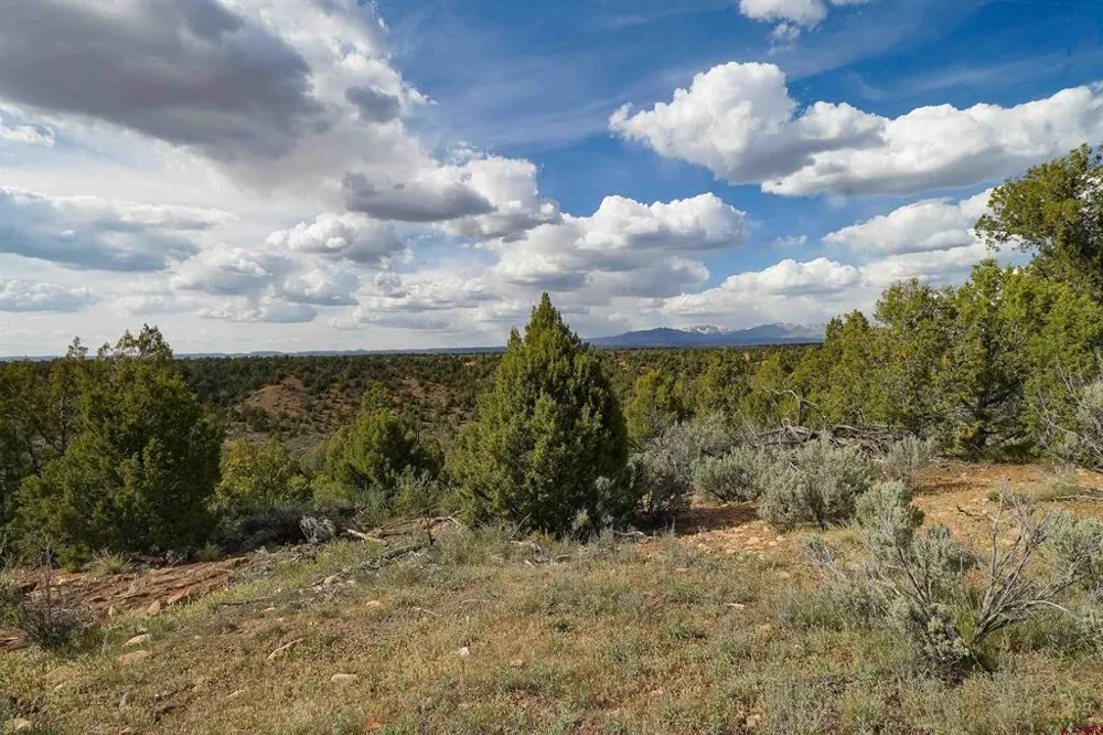 CR 136 Hesperus, CO 81326