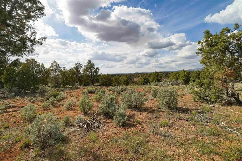 CR 136 Hesperus, CO 81326