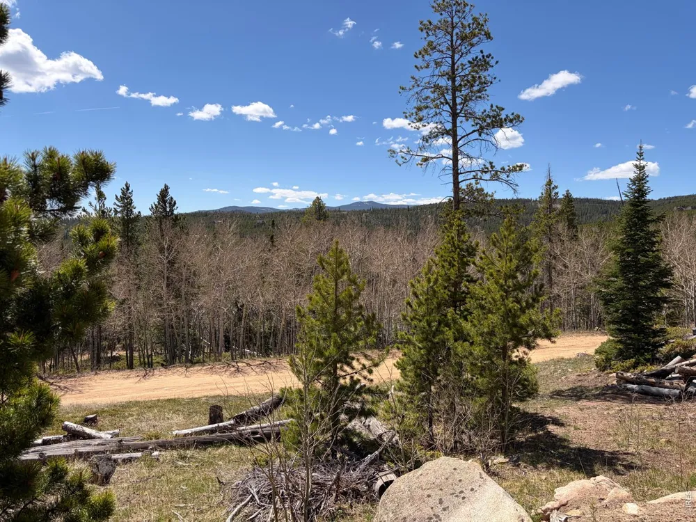 726 Micmac Drive Red Feather Lakes, CO 80545