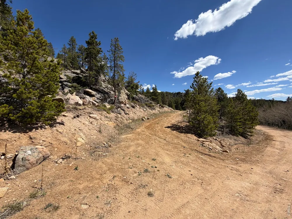 726 Micmac Drive Red Feather Lakes, CO 80545
