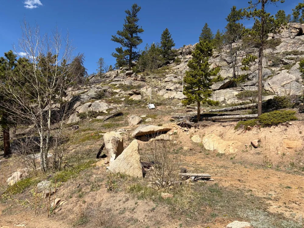 726 Micmac Drive Red Feather Lakes, CO 80545