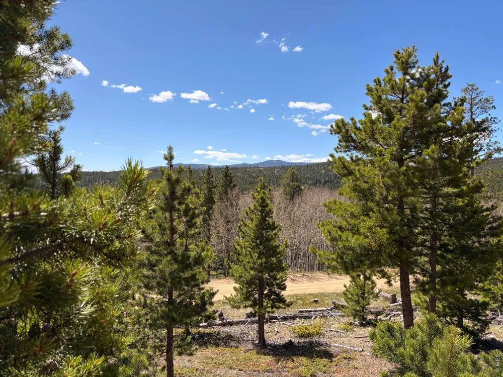 726 Micmac Drive Red Feather Lakes, CO 80545