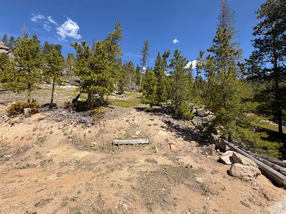 726 Micmac Drive Red Feather Lakes, CO 80545