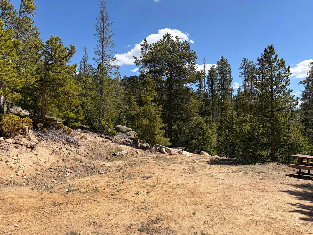 726 Micmac Drive Red Feather Lakes, CO 80545
