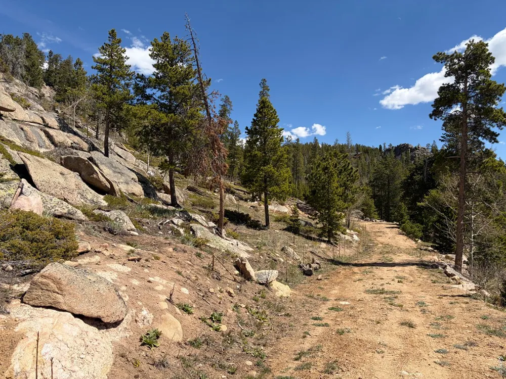 726 Micmac Drive Red Feather Lakes, CO 80545