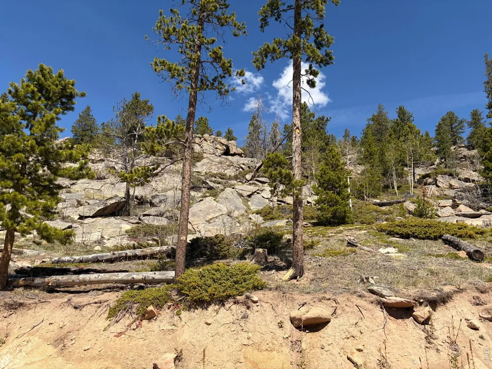726 Micmac Drive Red Feather Lakes, CO 80545