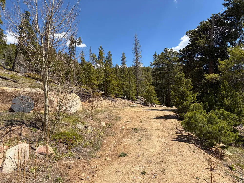 726 Micmac Drive Red Feather Lakes, CO 80545