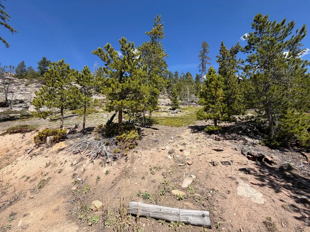 726 Micmac Drive Red Feather Lakes, CO 80545