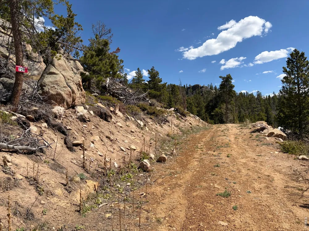 726 Micmac Drive Red Feather Lakes, CO 80545