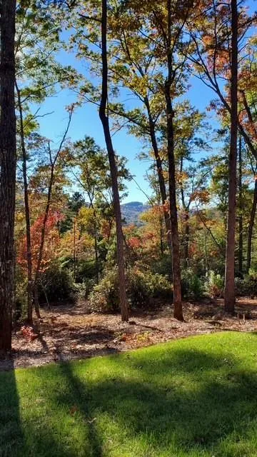 206 Celestial Circle Clayton, GA 30525