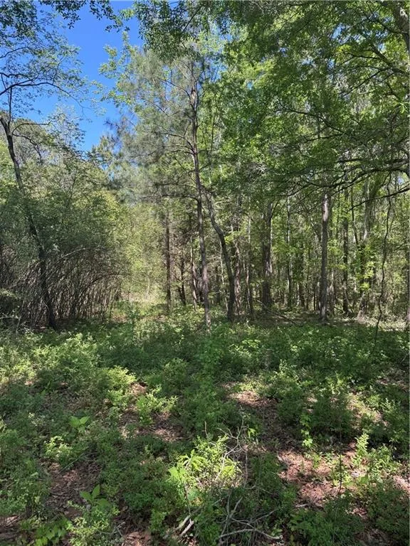 00 Roquemore Road Athens, GA 30607