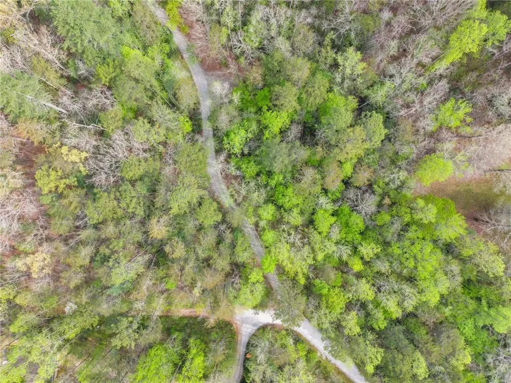 0 S Fern Cove Road Sautee Nacoochee, GA 30571
