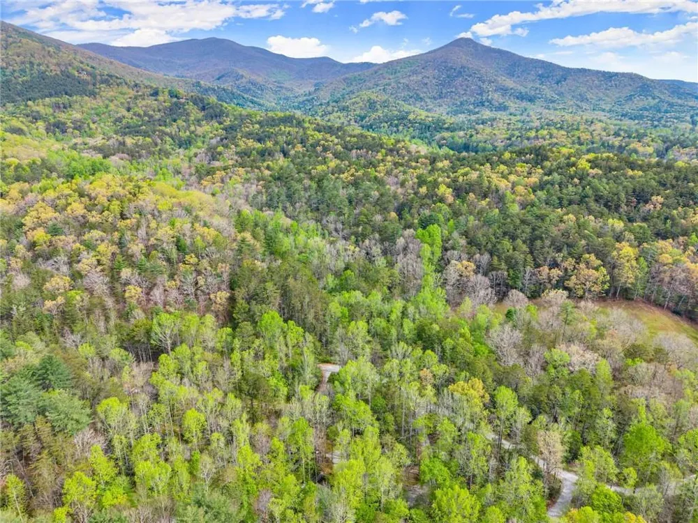 0 S Fern Cove Road Sautee Nacoochee, GA 30571