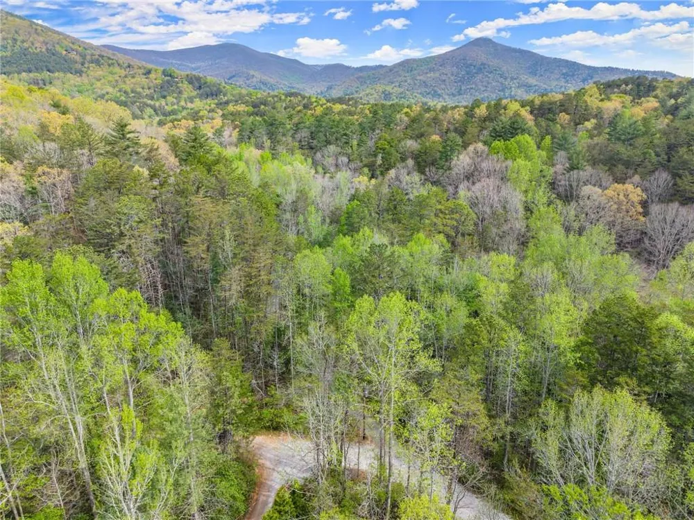 0 S Fern Cove Road Sautee Nacoochee, GA 30571