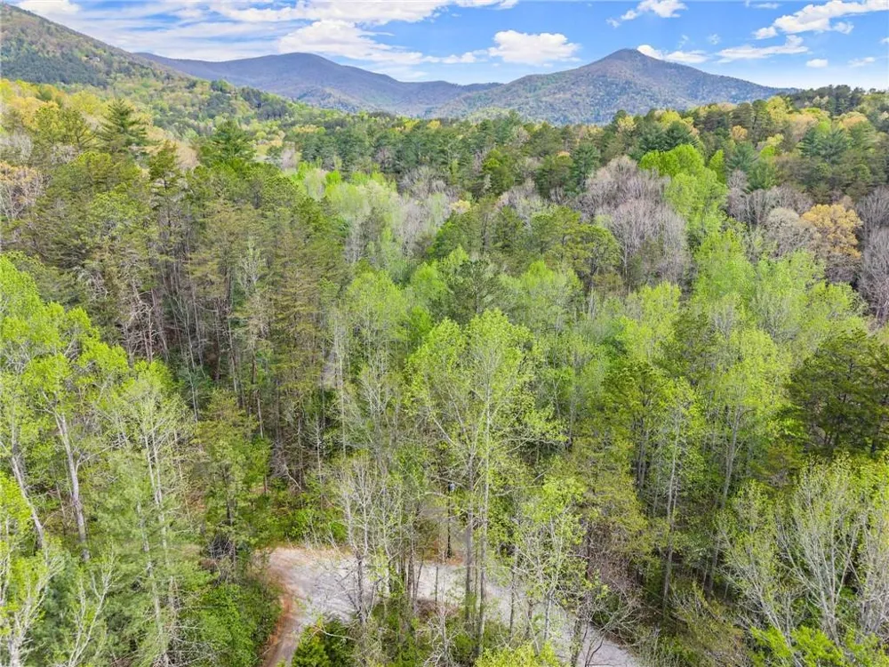 0 S Fern Cove Road Sautee Nacoochee, GA 30571