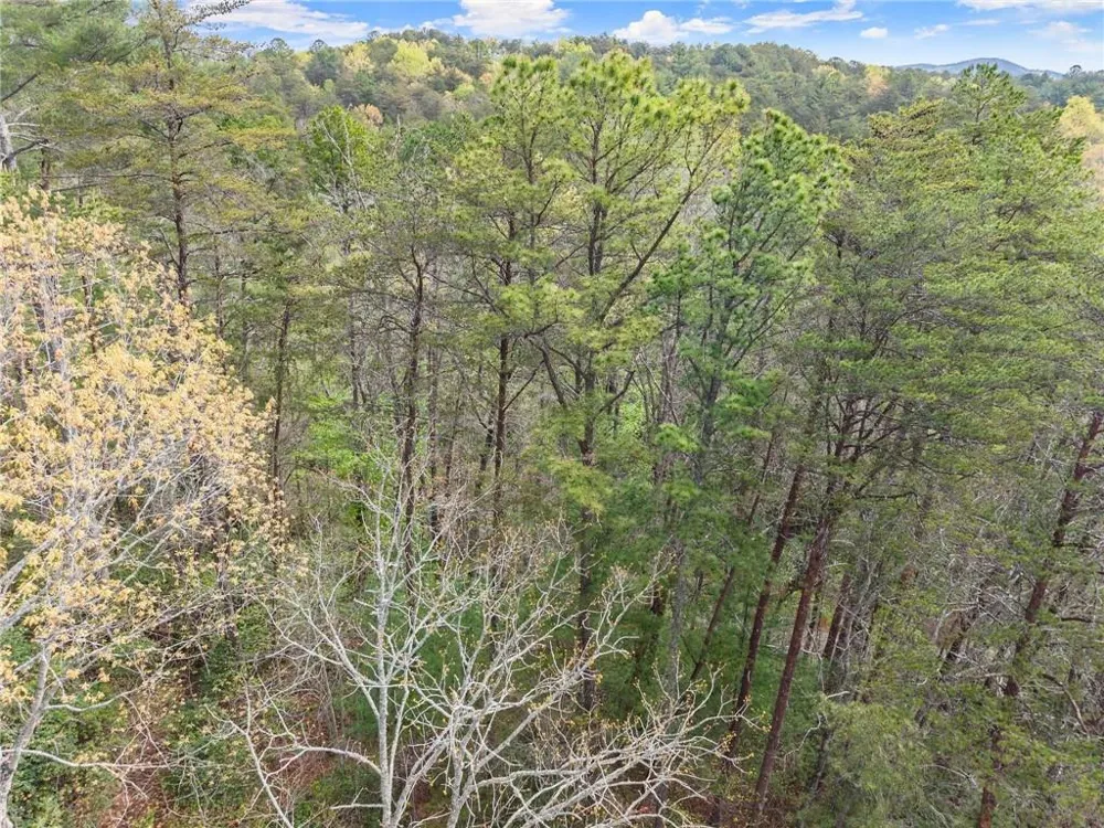 0 S Fern Cove Road Sautee Nacoochee, GA 30571
